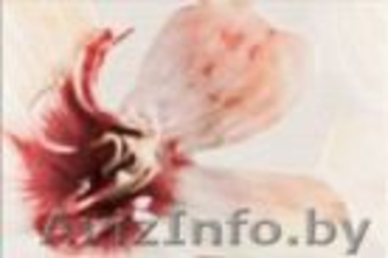 Снижаем цены до 70% - Изображение #2, Объявление #1574641